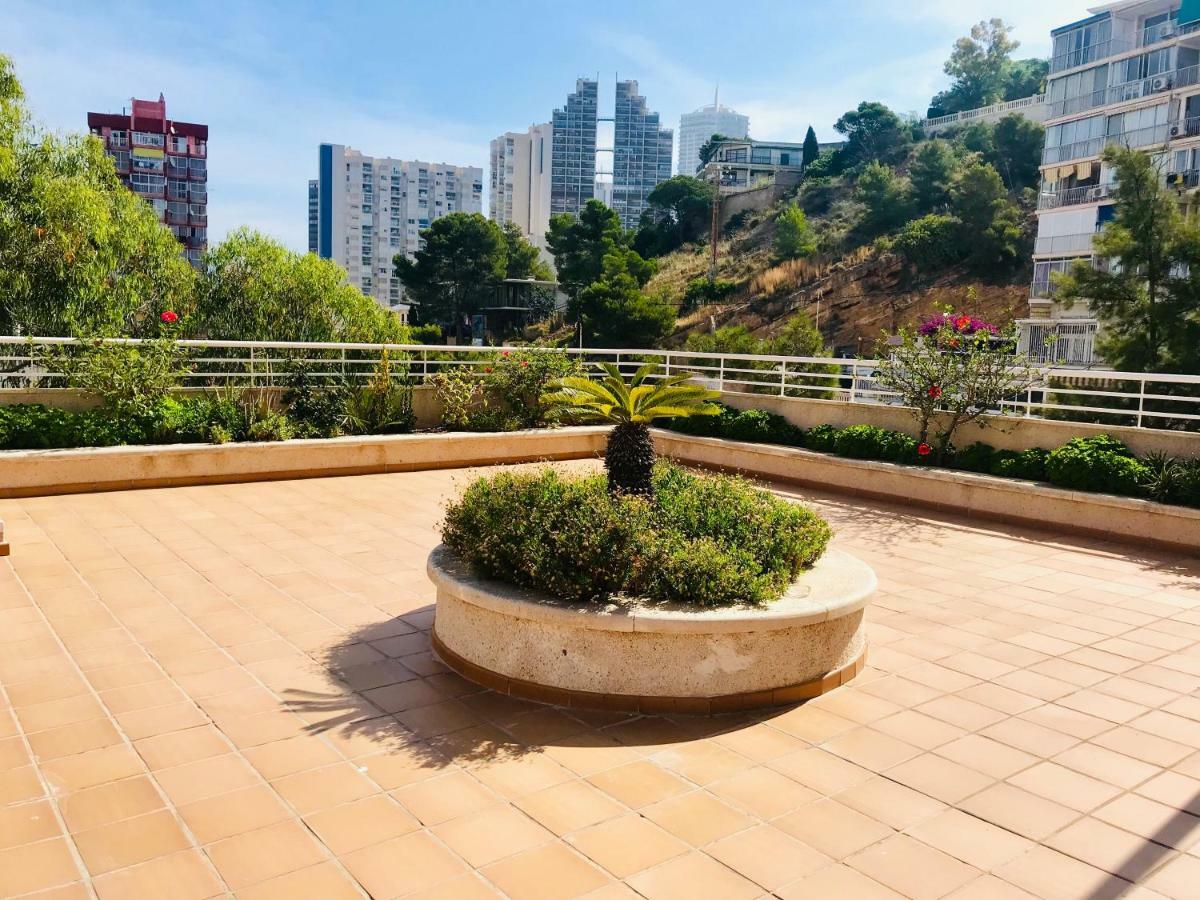 Sierra Dorada Apartment